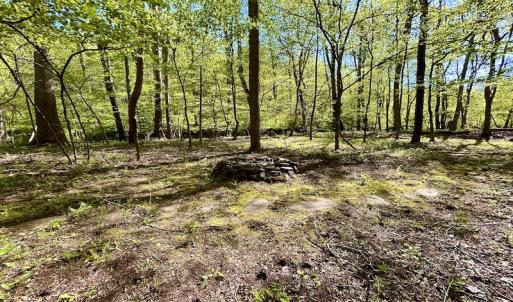 Photo #27 of SOLD property in Off Runnett Bag Rd, Ferrum, VA 57.0 acres