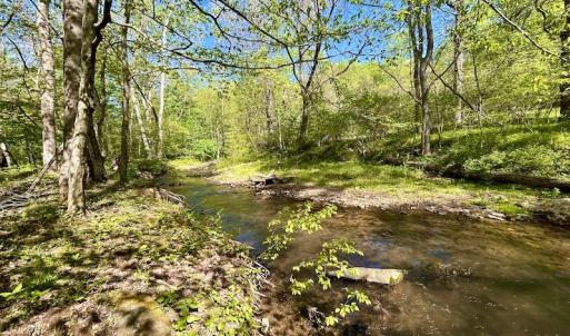 Photo #28 of SOLD property in Off Runnett Bag Rd, Ferrum, VA 57.0 acres