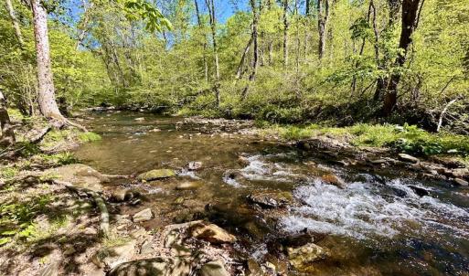 Photo #30 of SOLD property in Off Runnett Bag Rd, Ferrum, VA 57.0 acres