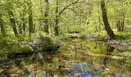 Photo #33 of SOLD property in Off Runnett Bag Rd, Ferrum, VA 57.0 acres