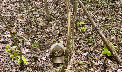Photo #36 of SOLD property in Off Runnett Bag Rd, Ferrum, VA 57.0 acres