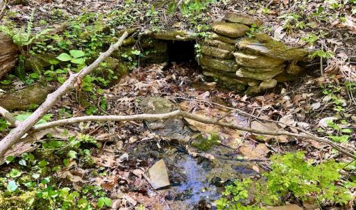 Photo #37 of SOLD property in Off Runnett Bag Rd, Ferrum, VA 57.0 acres
