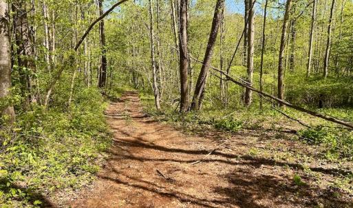 Photo #38 of SOLD property in Off Runnett Bag Rd, Ferrum, VA 57.0 acres