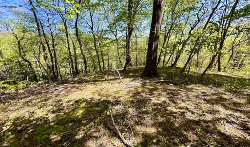 Photo #43 of SOLD property in Off Runnett Bag Rd, Ferrum, VA 57.0 acres