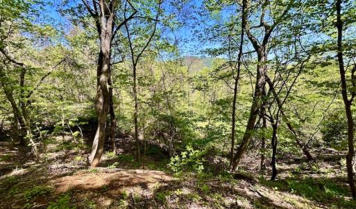 Photo #45 of SOLD property in Off Runnett Bag Rd, Ferrum, VA 57.0 acres