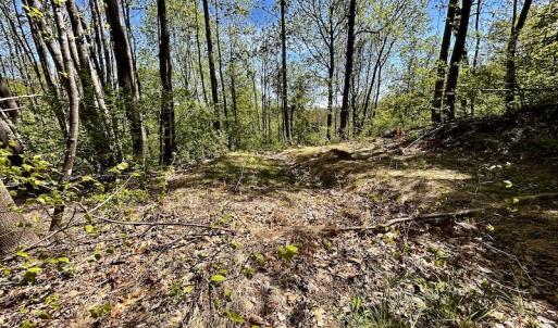 Photo #46 of SOLD property in Off Runnett Bag Rd, Ferrum, VA 57.0 acres