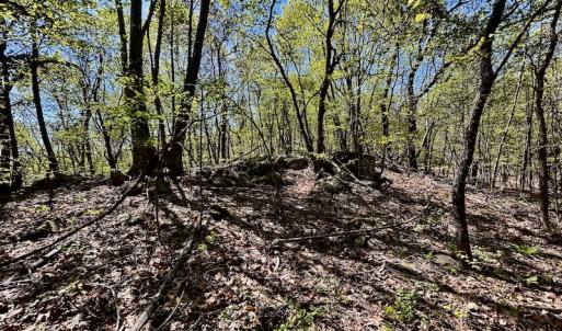 Photo #47 of SOLD property in Off Runnett Bag Rd, Ferrum, VA 57.0 acres
