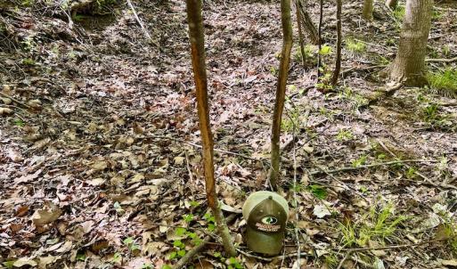 Photo #48 of SOLD property in Off Runnett Bag Rd, Ferrum, VA 57.0 acres