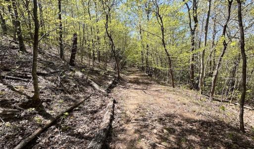 Photo #50 of SOLD property in Off Runnett Bag Rd, Ferrum, VA 57.0 acres