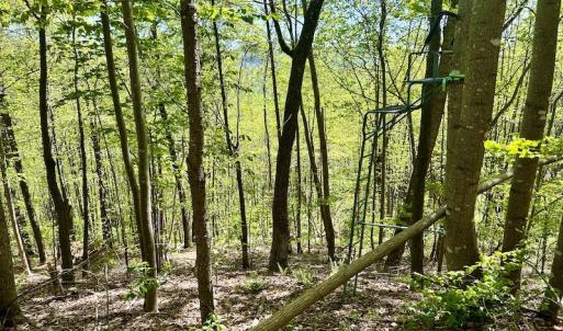 Photo #51 of SOLD property in Off Runnett Bag Rd, Ferrum, VA 57.0 acres