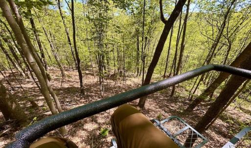 Photo #52 of SOLD property in Off Runnett Bag Rd, Ferrum, VA 57.0 acres