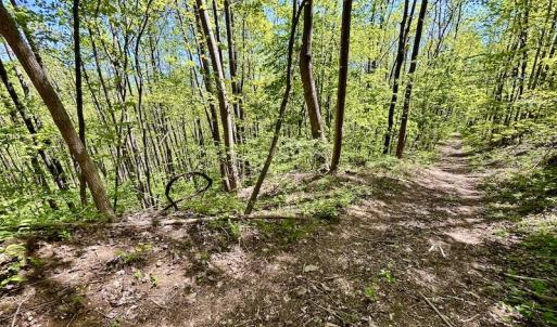 Photo #53 of SOLD property in Off Runnett Bag Rd, Ferrum, VA 57.0 acres