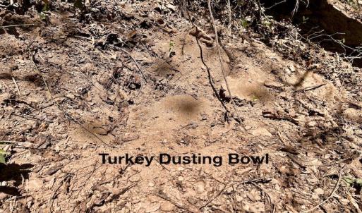 Photo #54 of SOLD property in Off Runnett Bag Rd, Ferrum, VA 57.0 acres