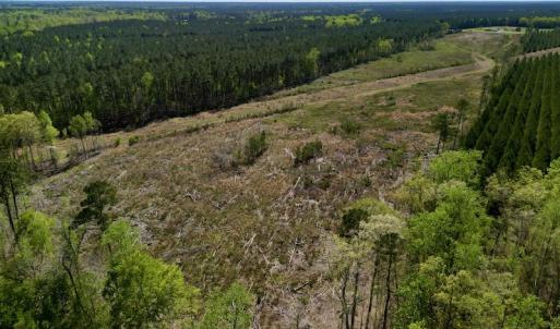 Photo #10 of SOLD property in Off Tuscarora Rhems Rd, New Bern, NC 40.6 acres