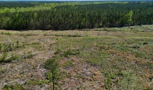 Photo #11 of SOLD property in Off Tuscarora Rhems Rd, New Bern, NC 40.6 acres