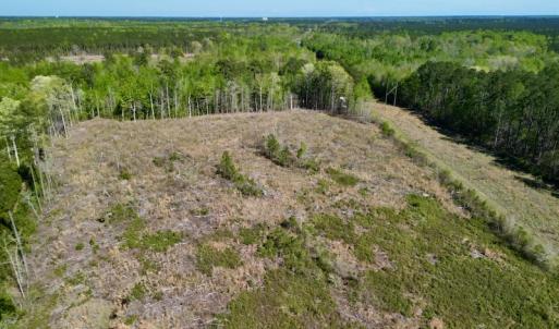 Photo #12 of SOLD property in Off Tuscarora Rhems Rd, New Bern, NC 40.6 acres