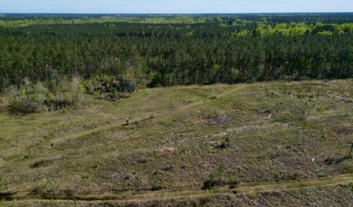 Photo #13 of SOLD property in Off Tuscarora Rhems Rd, New Bern, NC 40.6 acres