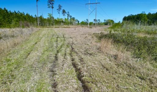 Photo #17 of SOLD property in Off Tuscarora Rhems Rd, New Bern, NC 40.6 acres