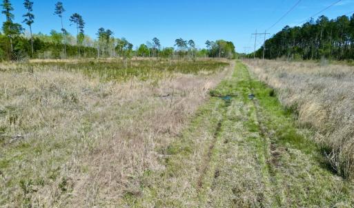 Photo #18 of SOLD property in Off Tuscarora Rhems Rd, New Bern, NC 40.6 acres