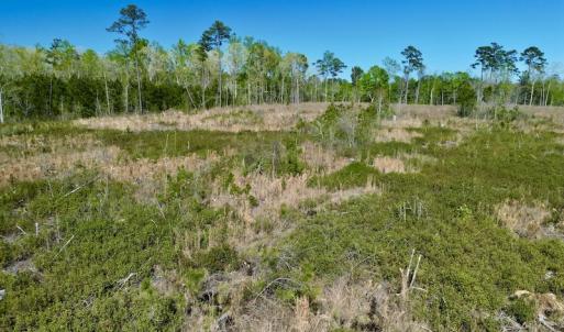 Photo #19 of SOLD property in Off Tuscarora Rhems Rd, New Bern, NC 40.6 acres