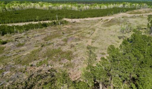 Photo #4 of SOLD property in Off Tuscarora Rhems Rd, New Bern, NC 40.6 acres