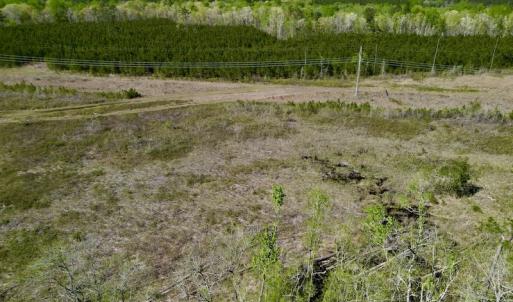 Photo #5 of SOLD property in Off Tuscarora Rhems Rd, New Bern, NC 40.6 acres