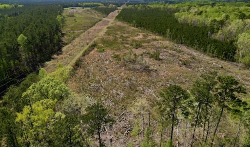 Photo #8 of SOLD property in Off Tuscarora Rhems Rd, New Bern, NC 40.6 acres