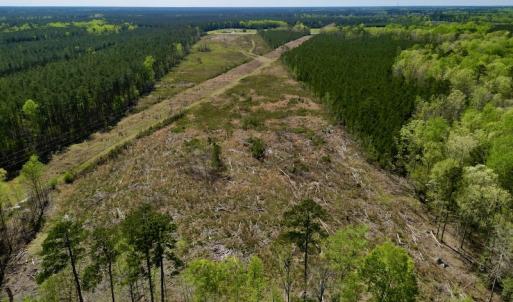 Photo #9 of SOLD property in Off Tuscarora Rhems Rd, New Bern, NC 40.6 acres