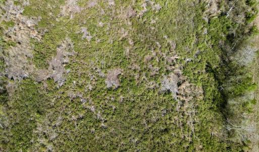 Photo #20 of SOLD property in Off Tuscarora Rhems Rd, New Bern, NC 40.6 acres