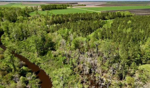 Photo #7 of SOLD property in Off Mill Pond Rd, Bayboro, NC 15.2 acres