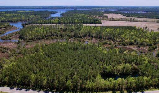 Photo #2 of SOLD property in Off NC 304, Bayboro, NC 9.0 acres