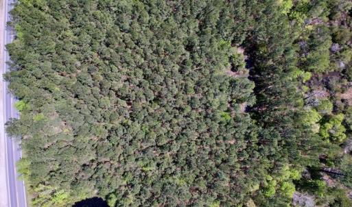Photo #11 of SOLD property in Off NC 304, Bayboro, NC 9.0 acres