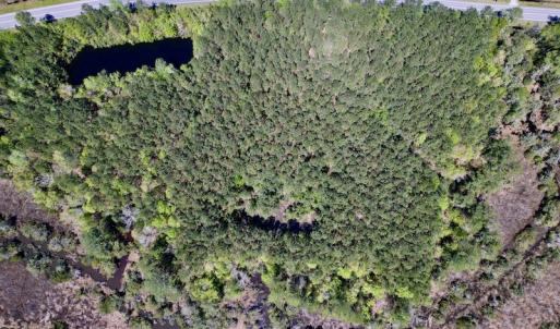 Photo #13 of SOLD property in Off NC 304, Bayboro, NC 9.0 acres