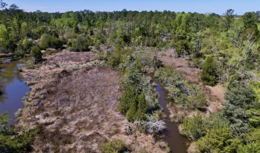 Photo #14 of SOLD property in Off NC 304, Bayboro, NC 9.0 acres