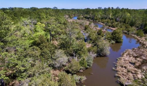 Photo #15 of SOLD property in Off NC 304, Bayboro, NC 9.0 acres