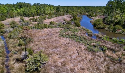 Photo #16 of SOLD property in Off NC 304, Bayboro, NC 9.0 acres