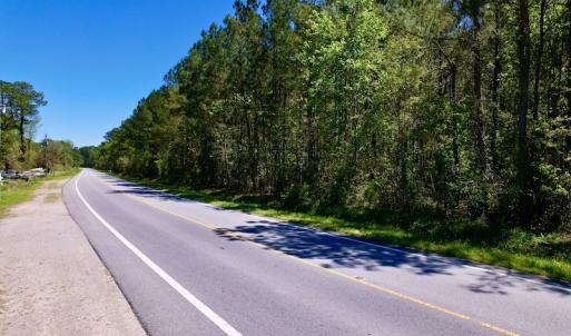 Photo #19 of SOLD property in Off NC 304, Bayboro, NC 9.0 acres