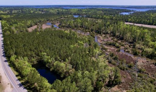 Photo #3 of SOLD property in Off NC 304, Bayboro, NC 9.0 acres
