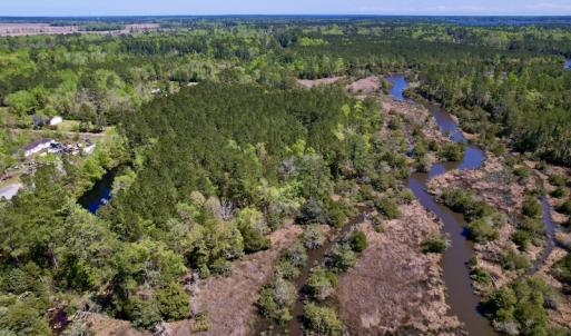 Photo #4 of SOLD property in Off NC 304, Bayboro, NC 9.0 acres