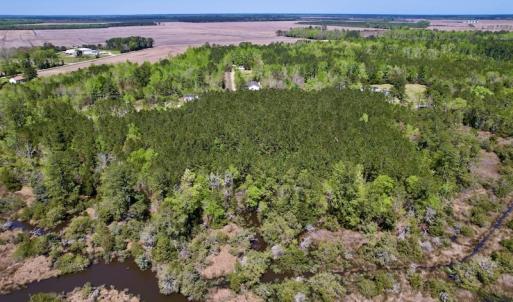 Photo #5 of SOLD property in Off NC 304, Bayboro, NC 9.0 acres