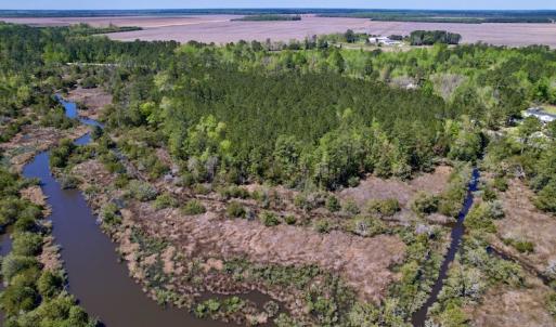 Photo #6 of SOLD property in Off NC 304, Bayboro, NC 9.0 acres