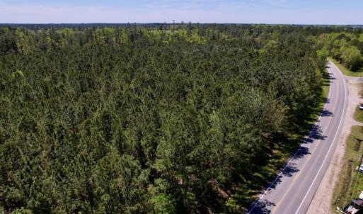 Photo #8 of SOLD property in Off NC 304, Bayboro, NC 9.0 acres