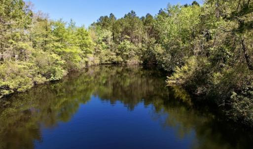 Photo #10 of SOLD property in Off NC 304, Bayboro, NC 9.0 acres