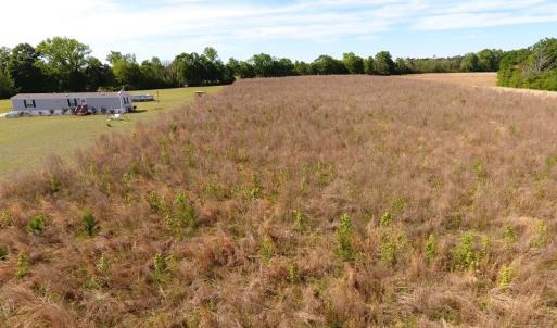Photo #4 of SOLD property in Off Oaky Point Rd, Dillon, SC 1.7 acres