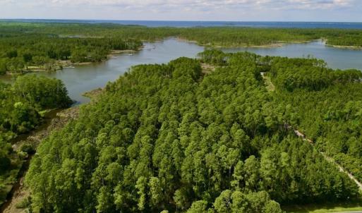 Photo #2 of Off State Road 1901, Aurora, NC 8.3 acres