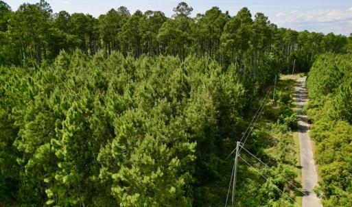 Photo #12 of Off State Road 1901, Aurora, NC 8.3 acres