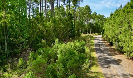 Photo #13 of Off State Road 1901, Aurora, NC 8.3 acres