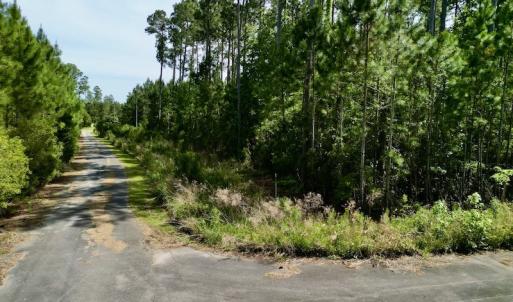 Photo #14 of Off State Road 1901, Aurora, NC 8.3 acres