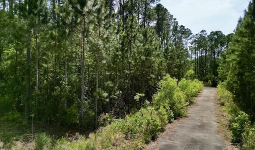 Photo #15 of Off State Road 1901, Aurora, NC 8.3 acres