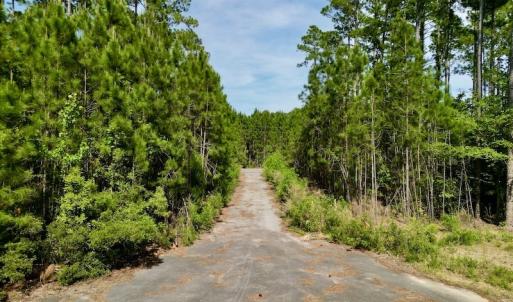 Photo #16 of Off State Road 1901, Aurora, NC 8.3 acres